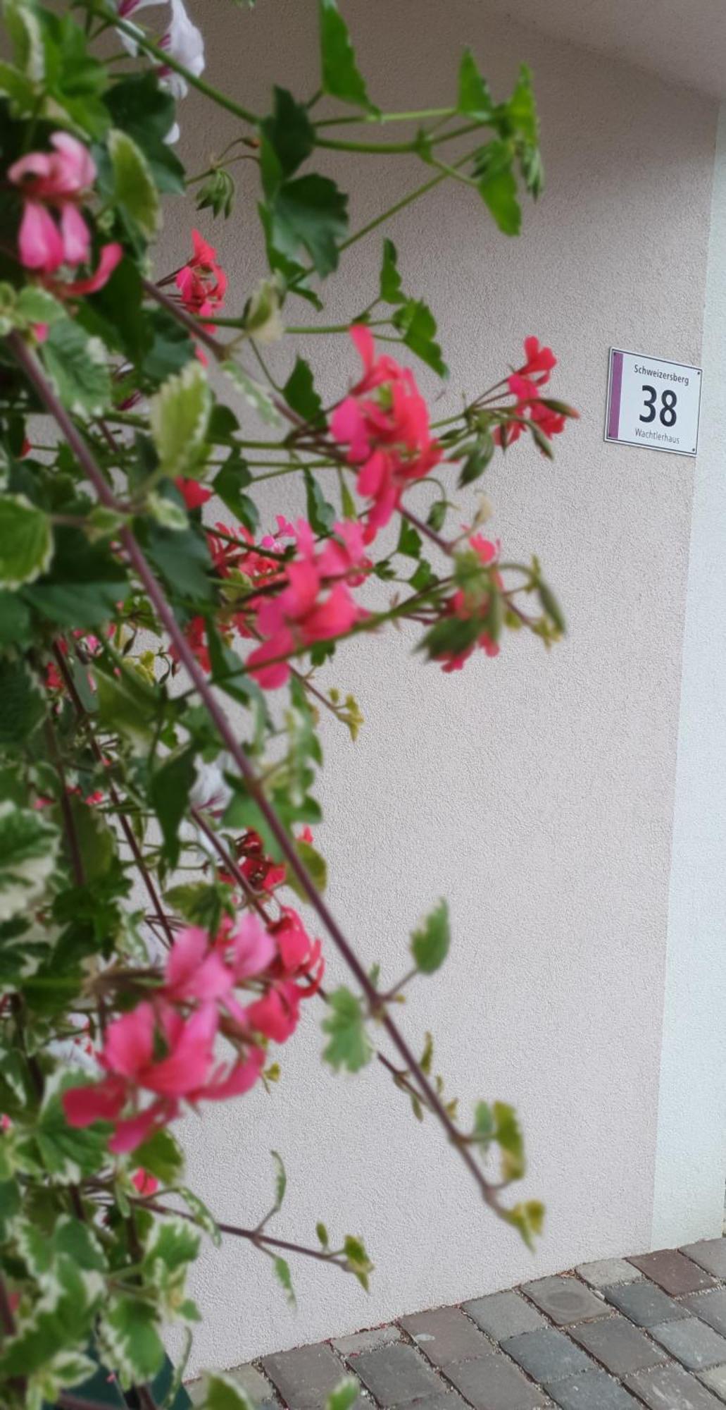 Ferienwohnung Blick Ins Gruene Rossleithen Dış mekan fotoğraf