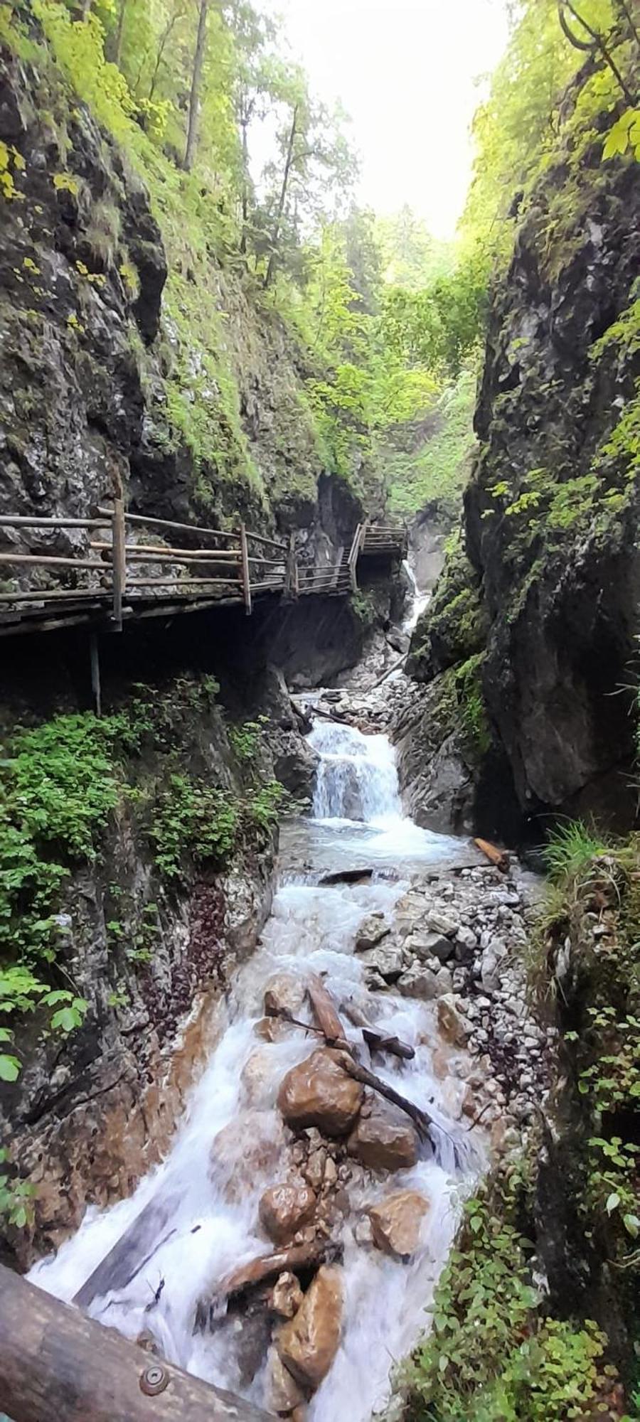 Ferienwohnung Blick Ins Gruene Rossleithen Dış mekan fotoğraf