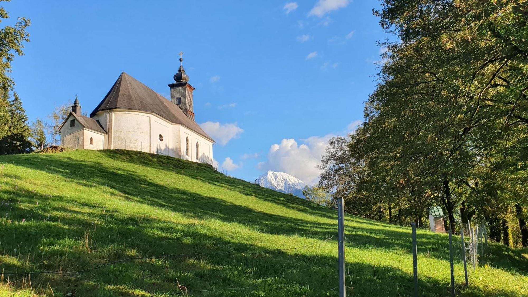 Ferienwohnung Blick Ins Gruene Rossleithen Dış mekan fotoğraf