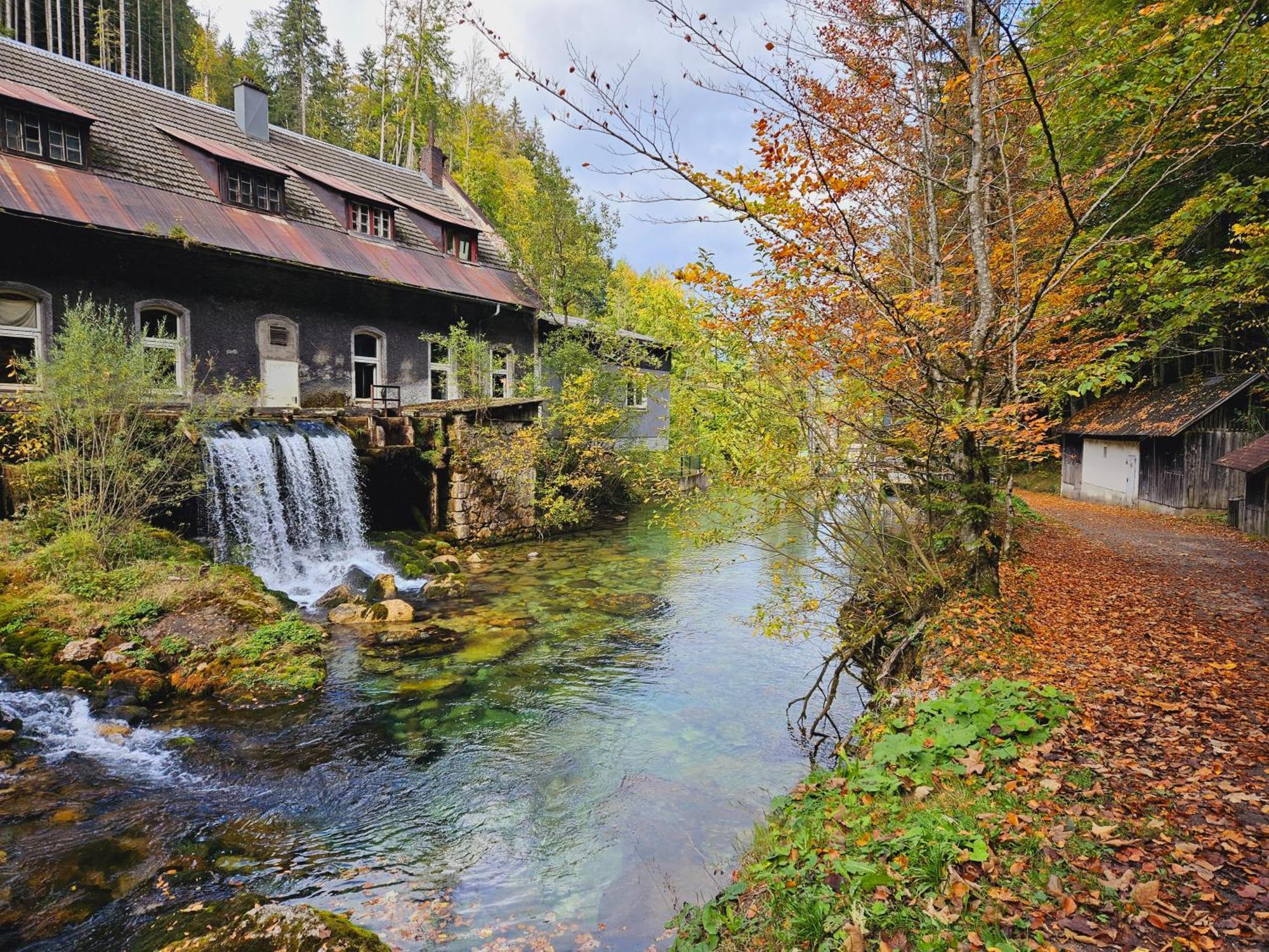Ferienwohnung Blick Ins Gruene Rossleithen Dış mekan fotoğraf